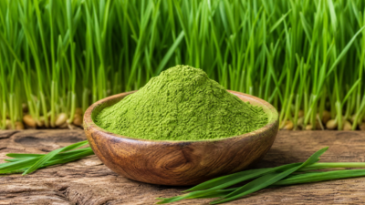 Σιταρόχορτο σκόνη Triticum aestivum 100γρ σε συσκευασία DonCapone