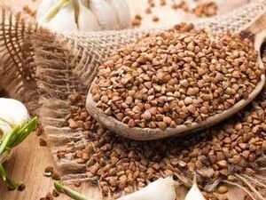 ΦΑΓΟΠΥΡΟ bIO 500γρ