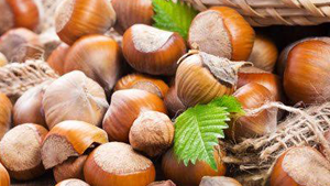 Φουντούκια ωμά 100γρ