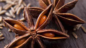 Γλυκάνισος Αστερ. 50γρ