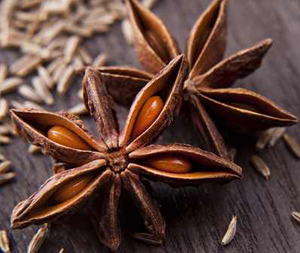 Γλυκάνισος Αστερ. 50γρ