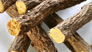 Γλυκόριζα Σκόνη 100γρ