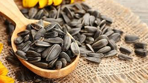 Ηλιόσπορος 200γρ