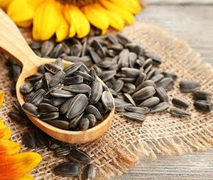 Ηλιόσπορος 200γρ