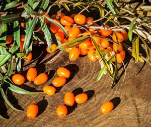 Ιπποφαές Οσμωτικό χ/ζ 100γρ