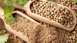 Κόλιανδρος 100γρ