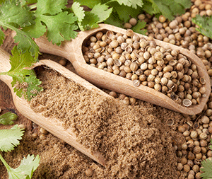 Κόλιανδρος 100γρ