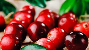 Κράνμπερι 200γρ χ/ζ