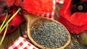 Παπαρουνόσπορος 100γρ