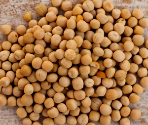 Πρωτεΐνη Αρακά  bio 200γρ