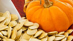 Πρωτεΐνη Κολοκύθας 100γρ