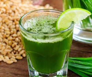 Σιταρόχορτο Σκόνη bio 100g