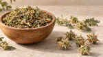 Τριβόλι Tribulus terrestris 50 γρ. – αποξηραμένο φυτικό προϊόν