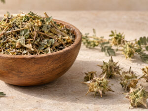Τριβόλι Tribulus terrestris 50 γρ. – αποξηραμένο φυτικό προϊόν