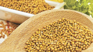 Κίτρινο Σινάπι 100γρ