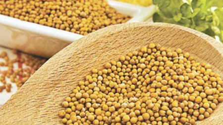 Κίτρινο Σινάπι 100γρ