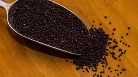 Μαύρο Σινάπι