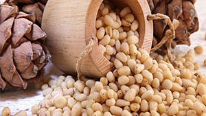 Κουκουνάρι