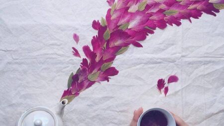 Χορός των λουλουδιών 50γρ