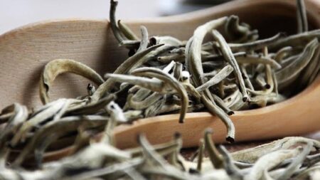 Άσπρο τσάι 50γρ