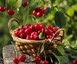 Μούρα οσμωτικά χ/ζ