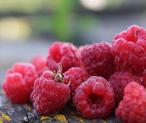 Χυμός Σμέουρου χ/ζ