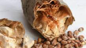 Baobab σκόνη 100γρ