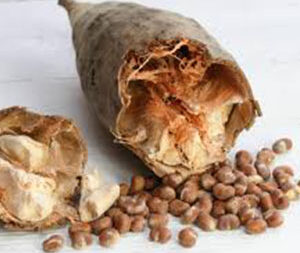 Baobab σκόνη 100γρ