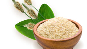 Ψύλλιο σκόνη 100γρ