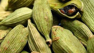 Κάρδαμο σκόνη 100γρ