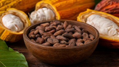 Κακάο σπόροι Theobroma cacao 100γρ σε συσκευασία DonCapone