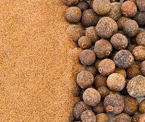 Μπαχάρι σκόνη 100γρ