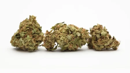 Green Fuel - Εκλεκτός Ανθός Κάνναβης CBD 50%