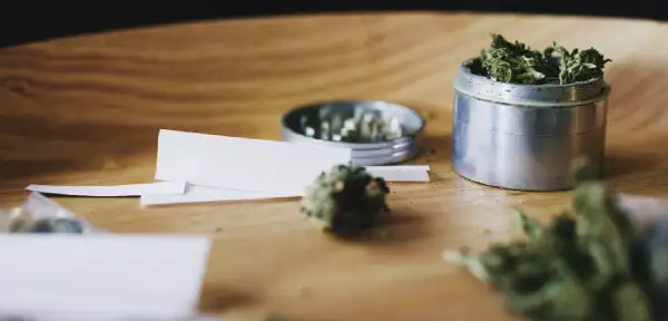 Τσιγαρόχαρτα και τρίφτης κάνναβης δίπλα σε άνθη κάνναβης