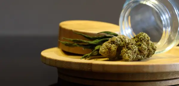 Ανθοί κάνναβης σε γυάλινο βάζο