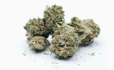 Ανθοί κάνναβης Porn Star με CBD έως 50%