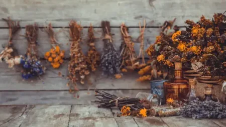 Βότανα - Μείγματα βοτάνων - Τσάγια