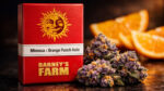 Mimosa x Orange Punch Auto Barney’s Farm autoflower cannabis seeds citrus strain
