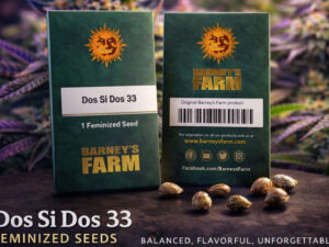 Dos Si Dos 33 – Feminized Seeds (Barney’s Farm)