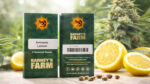 Amnesia Lemon Barney’s Farm feminized cannabis seeds sativa strain