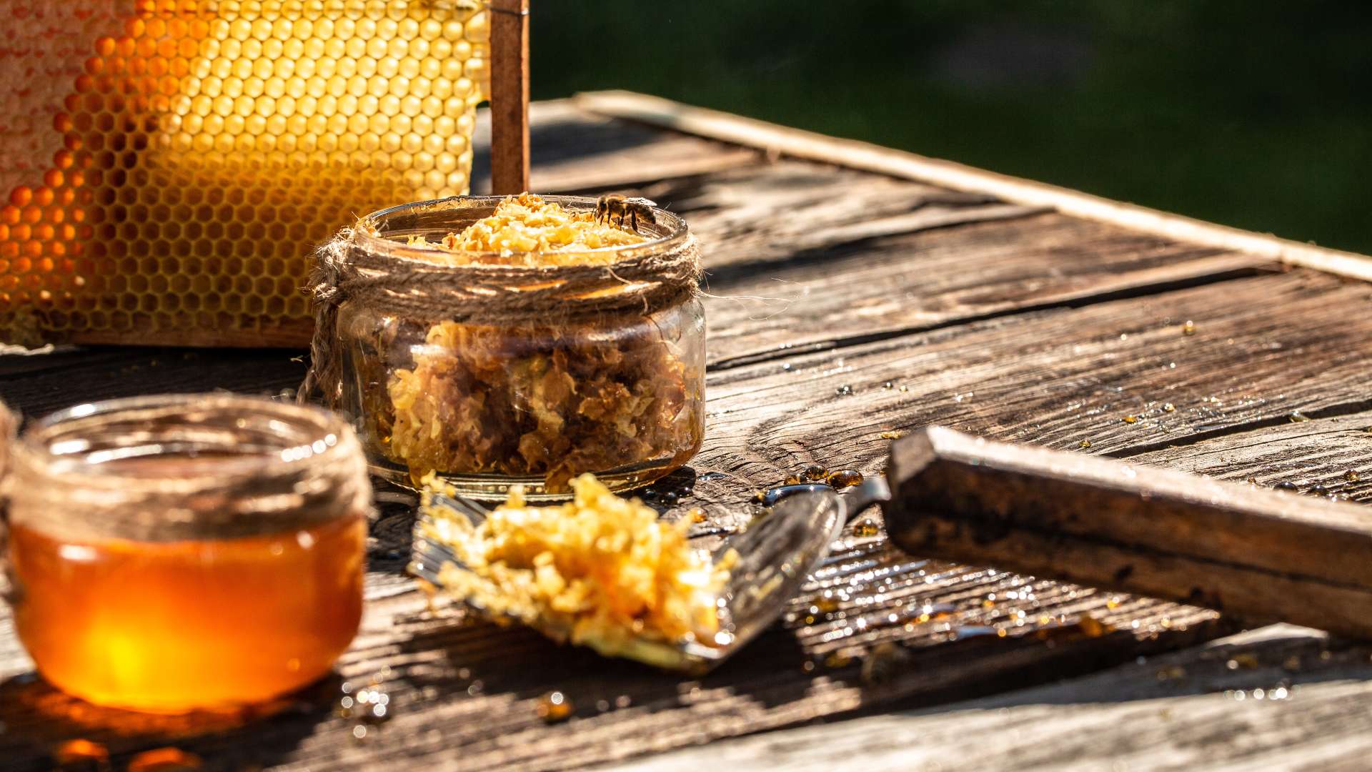 Φυσικά προϊόντα μέλισσας όπως μέλι, γύρη και πρόπολη