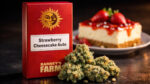 Strawberry Cheesecake Auto Barney’s Farm autoflower cannabis seeds dessert strain